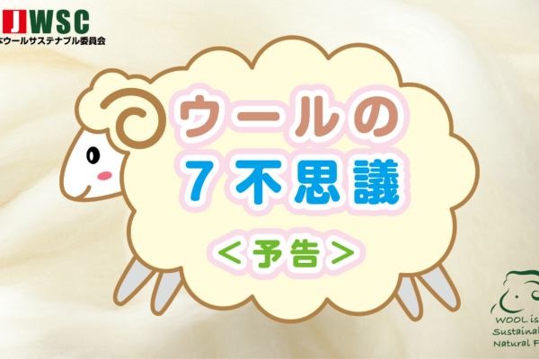 wool7fushigi_yokoku