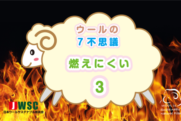 wool7fushigi_3