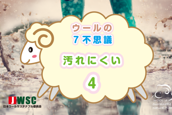 wool7fushigi_4