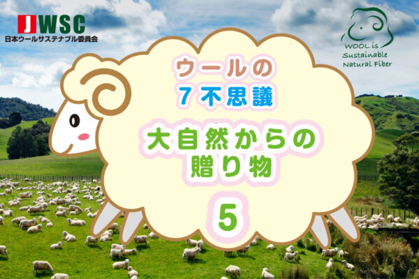 wool7fushigi_5