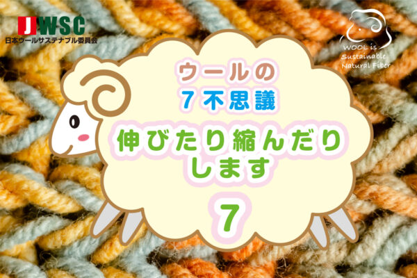 wool7fushigi_7