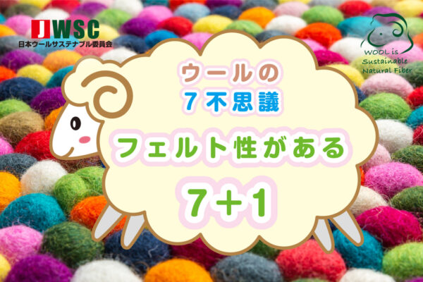 wool7fushigi_7plus1
