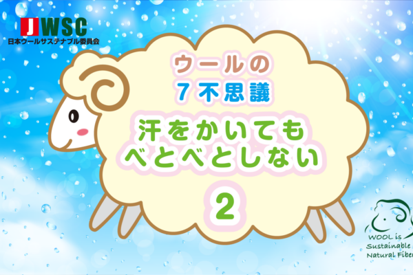 wool7fushigi_2