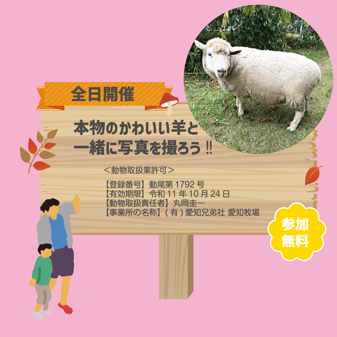 ひつじのふれあい